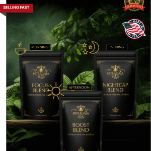 Blend Bundle